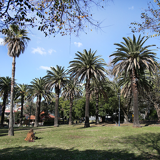  Maundrell Park view